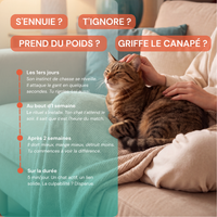 Katcha — Le Gant anti ennui pour Chat