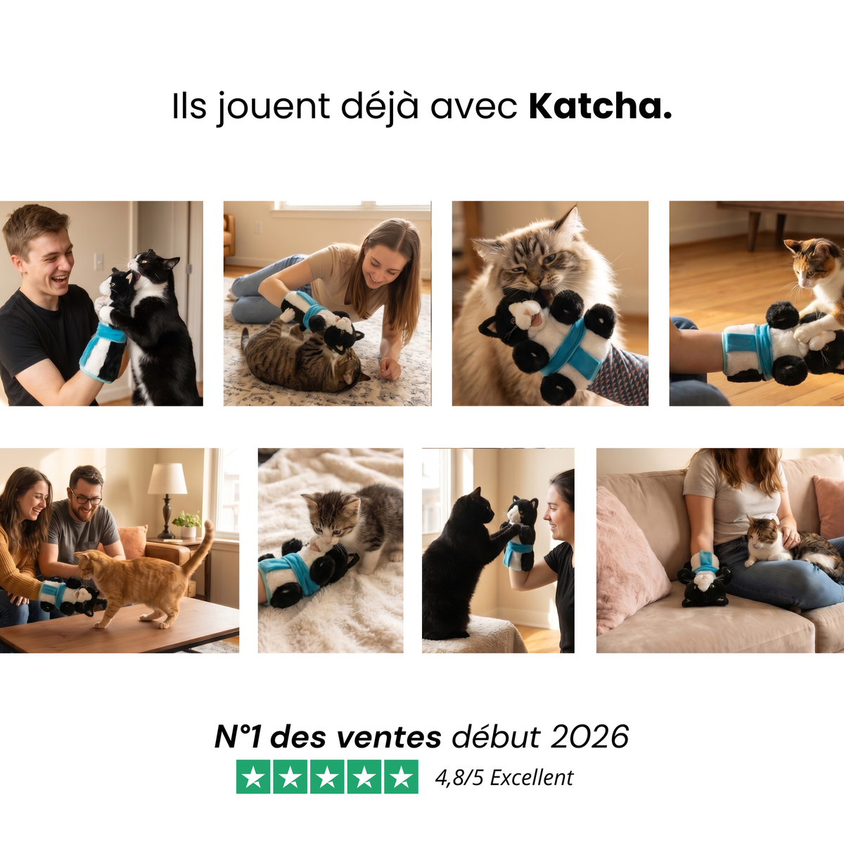 Katcha — Le Gant anti ennui pour Chat