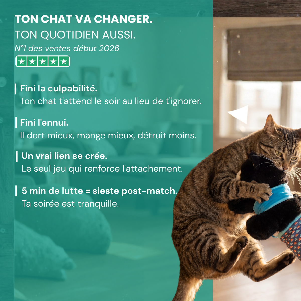 Katcha — Le Gant anti ennui pour Chat