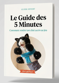 Le Rituel Félin