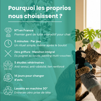Katcha — Le Gant anti ennui pour Chat