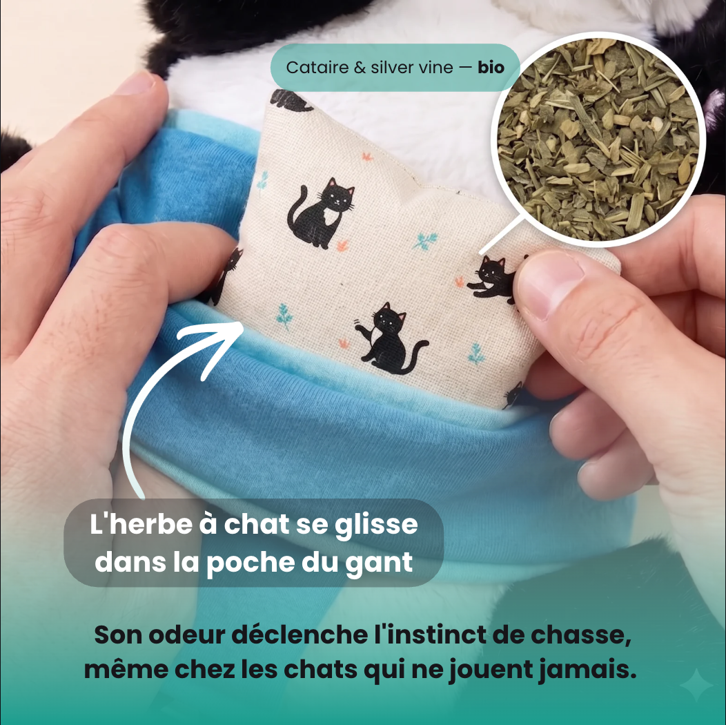Katcha — Le Gant anti ennui pour Chat