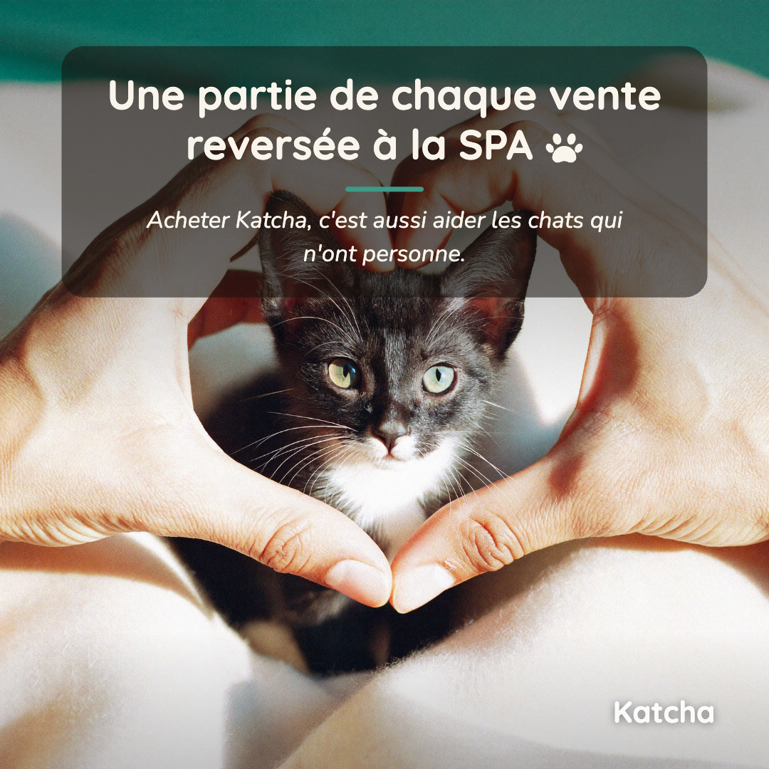 Katcha — Le Gant anti ennui pour Chat