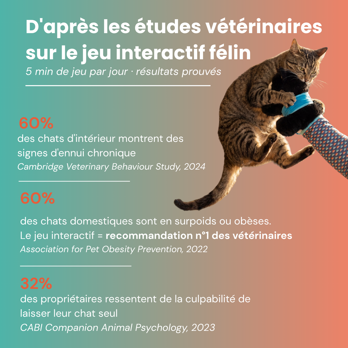 Katcha — Le Gant anti ennui pour Chat