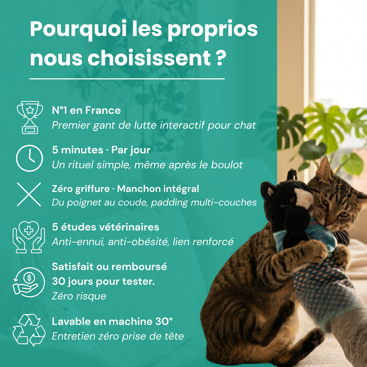 Katcha — Le Gant anti ennui pour Chat