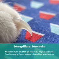 Katcha — Le Gant anti ennui pour Chat