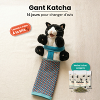 Katcha — Le Gant anti ennui pour Chat