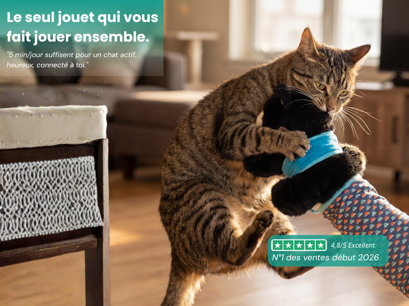Produit vue 1