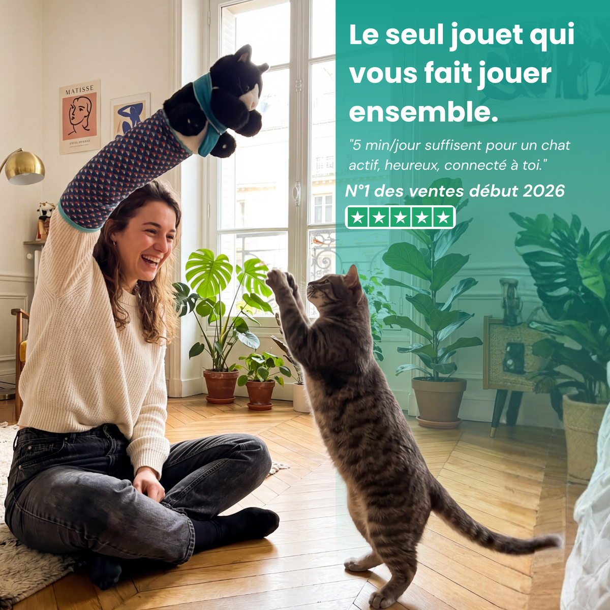 Katcha — Le Gant anti ennui pour Chat